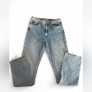 Zara Distressed Blue Jeans